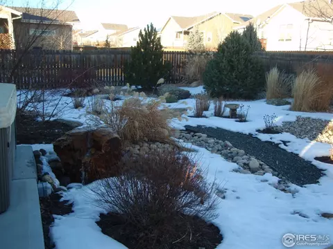 506 Prairie Clover Way, Severance, CO 80550 photo 12