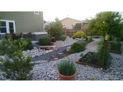 506 Prairie Clover Way, Severance, CO 80550 photo 10