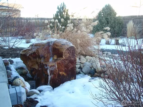 506 Prairie Clover Way, Severance, CO 80550 photo 13