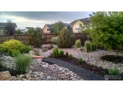 506 Prairie Clover Way, Severance, CO 80550 photo 9