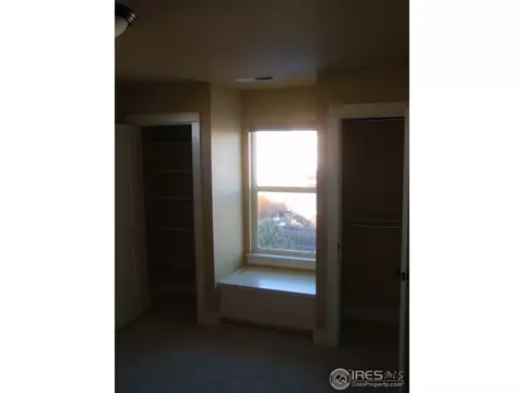 506 Prairie Clover Way, Severance, CO 80550 photo 8