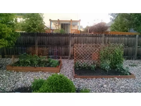 506 Prairie Clover Way, Severance, CO 80550 photo 11