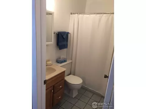 4208 Janis Ct, Laporte, CO 80535 photo 10
