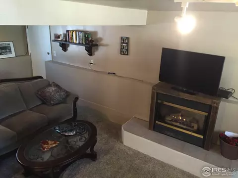 4208 Janis Ct, Laporte, CO 80535 photo 3
