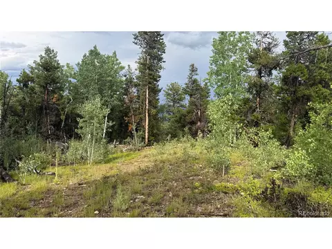 1 Church Placer Rd, Central City, CO 80427