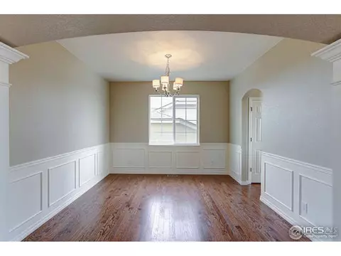 2155 Longfin Dr, Windsor, CO 80550 photo 5