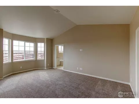2155 Longfin Dr, Windsor, CO 80550 photo 13