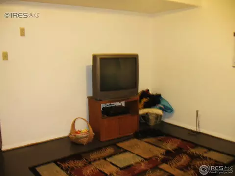 303 Dickson St, Wiggins, CO 80654 photo 18