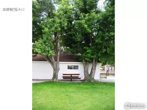 303 Dickson St, Wiggins, CO 80654 photo 4