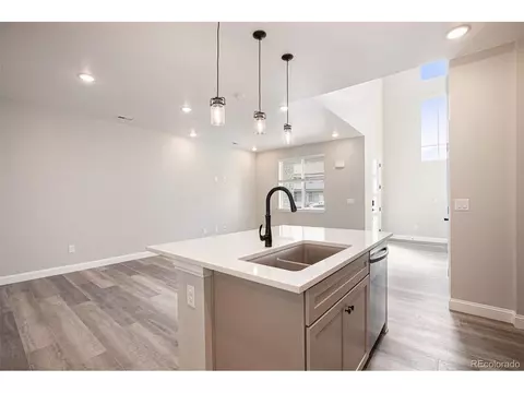 16357 Askins Loop, Parker, CO 80134 photo 10