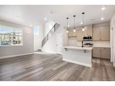 16357 Askins Loop, Parker, CO 80134 photo 7