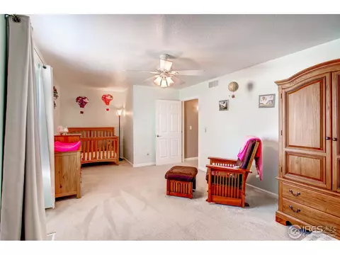 6938 Saddleback Ave, Firestone, CO 80504 photo 18