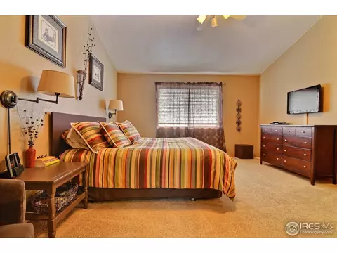 1413 Walnut St, Windsor, CO 80550 photo 14