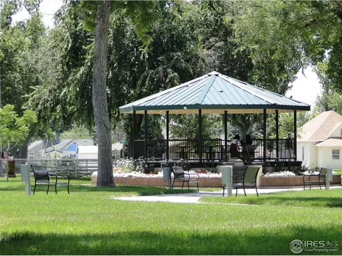 1413 Walnut St, Windsor, CO 80550 photo 24