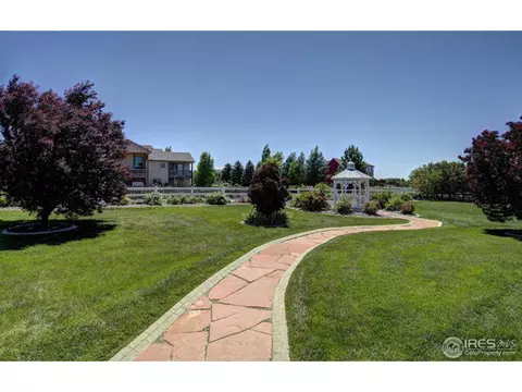 5004 Cortez Way, Severance, CO 80550 photo 19