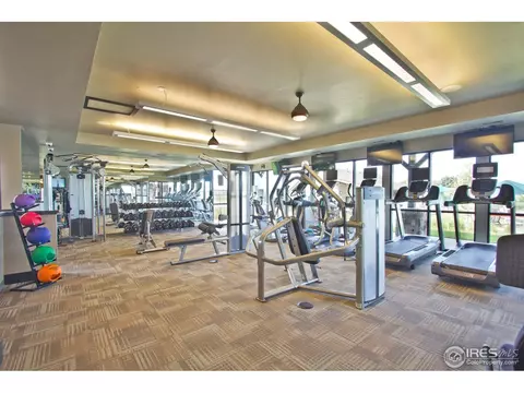6761 Flintlock Rd, Timnath, CO 80547 photo 6