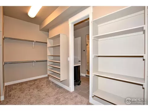 5950 Last Pointe Dr, Windsor, CO 80550 photo 21