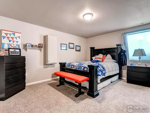 11323 E 167th Ave, Brighton, CO 80602 photo 23