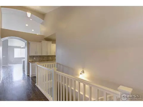 2295 Stonefish Dr, Windsor, CO 80550 photo 3