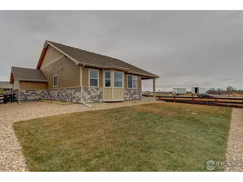 2295 Stonefish Dr, Windsor, CO 80550 photo 14