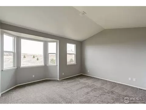 2295 Stonefish Dr, Windsor, CO 80550 photo 11