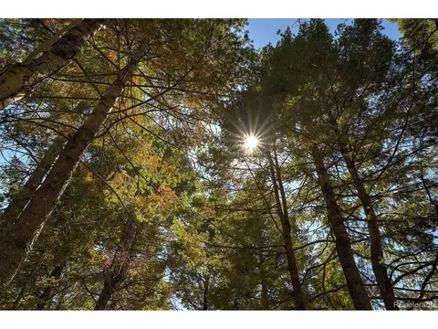 13492 Shiloh Dr, Conifer, CO 80433