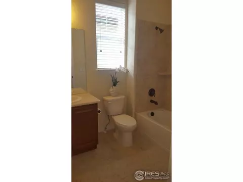 2012 Vineyard Dr, Windsor, CO 80550 photo 15