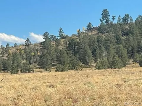 Black Beaver Trl, Hartsel, CO 80449
