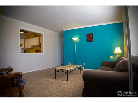 3602 Myrtle St, Evans, CO 80620 photo 7