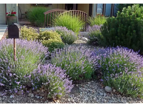 4786 Kellogg Cir, Boulder, CO 80303 photo 5