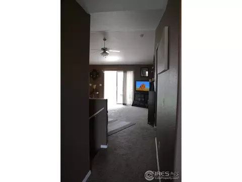 2928 Arbor Ave, Greeley, CO 80631 photo 6