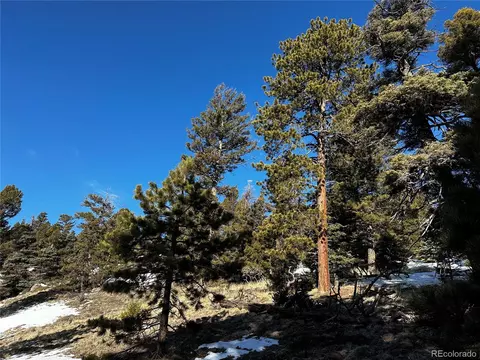 218 Lautenburg Dr, Fort Garland, CO 81133