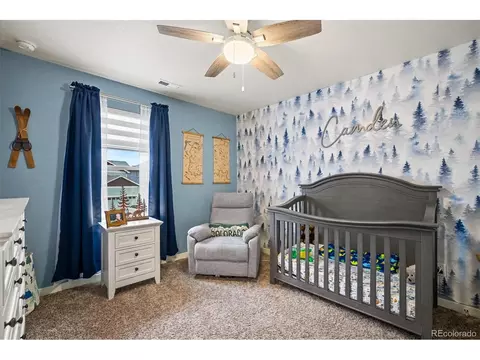 Bedroom - 1244 Lily Mountain Rd, Windsor, CO 80550 photo 7 of 11