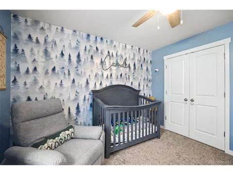 Bedroom - 1244 Lily Mountain Rd, Windsor, CO 80550 photo 8 of 11