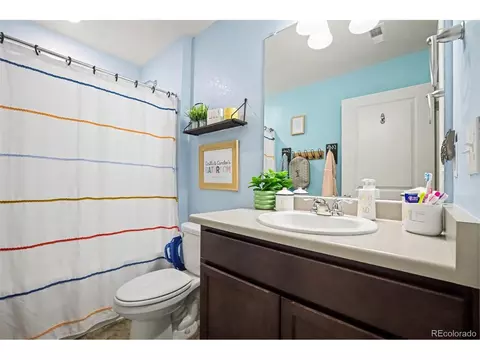Bath - 1244 Lily Mountain Rd, Windsor, CO 80550 photo 4 of 4