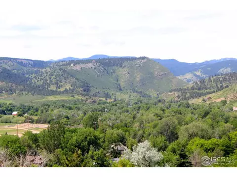 145 Kelling Dr, Lyons, CO 80540 photo 14