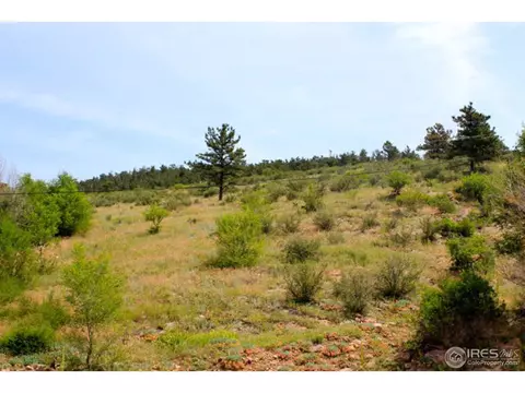 145 Kelling Dr, Lyons, CO 80540 photo 7