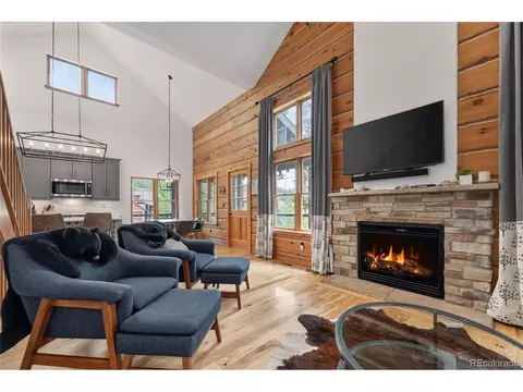 Living - 1201 Rendezvous Rd, Fraser, CO 80442 photo 1 of 2