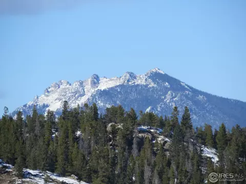 101 Pine Cone Dr, Ward, CO 80481 photo 2