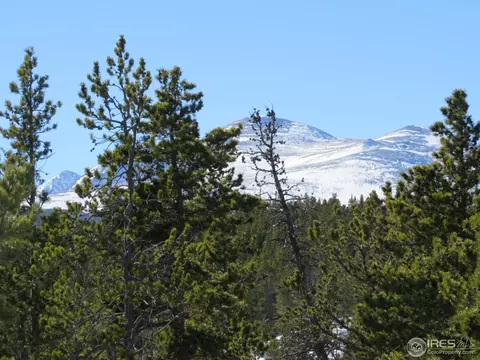101 Pine Cone Dr, Ward, CO 80481 photo 6