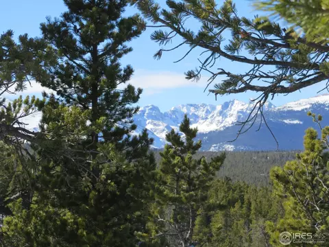 101 Pine Cone Dr, Ward, CO 80481 photo 4