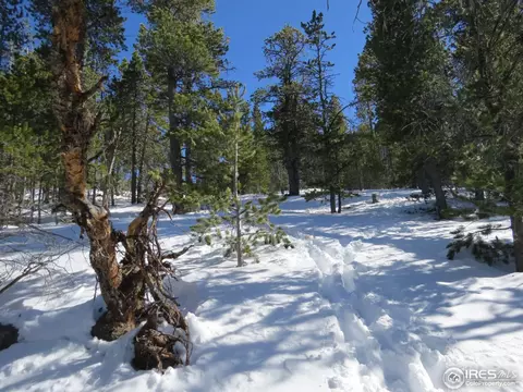 101 Pine Cone Dr, Ward, CO 80481 photo 8