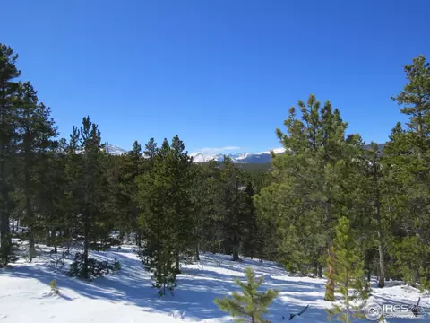 101 Pine Cone Dr, Ward, CO 80481 photo 7