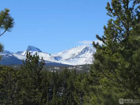 101 Pine Cone Dr, Ward, CO 80481 photo 5