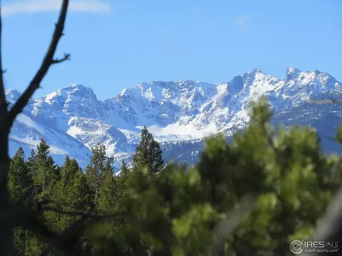 101 Pine Cone Dr, Ward, CO 80481 photo 1