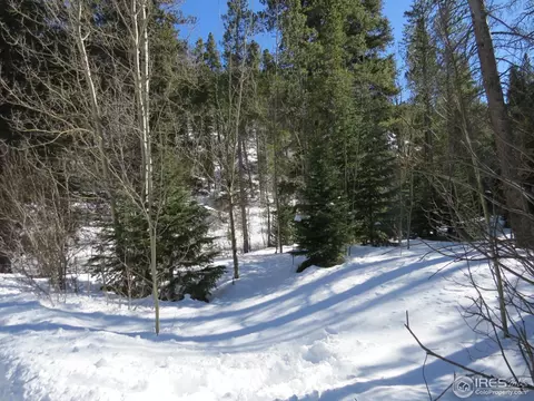 101 Pine Cone Dr, Ward, CO 80481 photo 9