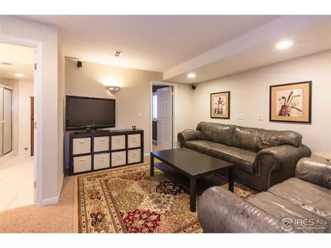 2655 E 137th Pl, Thornton, CO 80602 photo 20