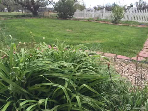 540 Park Ave, Pierce, CO 80650 photo 3