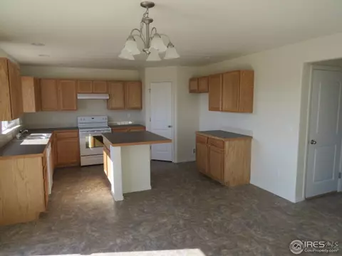 901 Glenbrook Ct, Windsor, CO 80550 photo 8