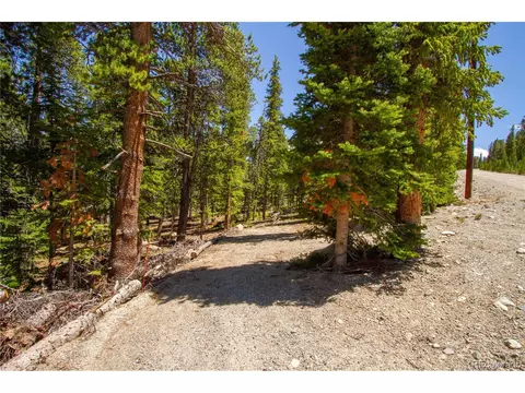 912 Bobcat Ln, Fairplay, CO 80440